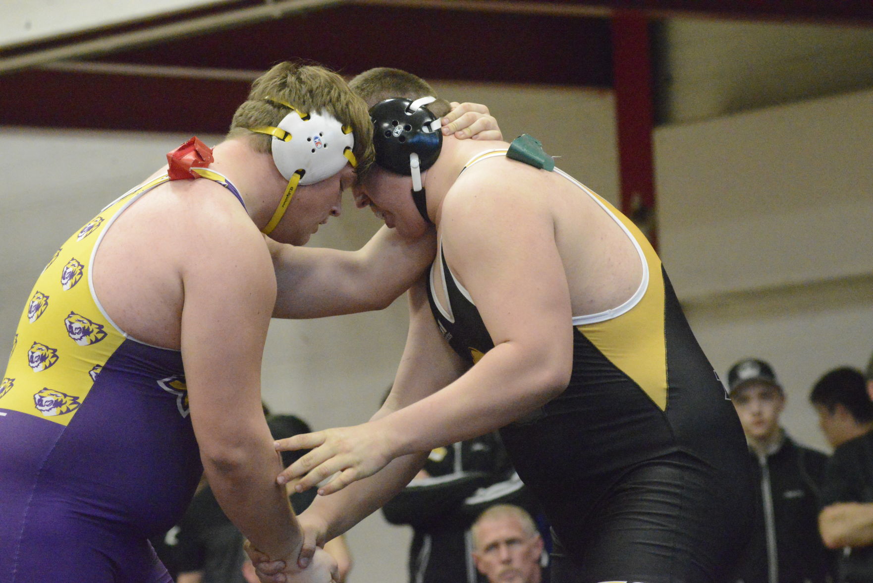 iowa sect 2a wr 2493.JPG